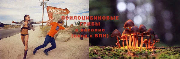 дмт Белокуриха
